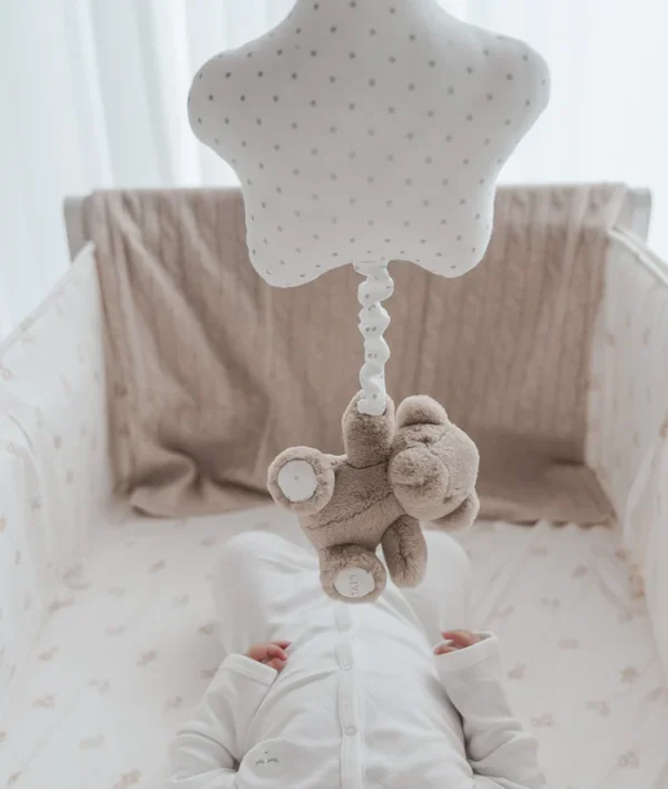 Teddy Tay երաժշտական ​​խաղալիք