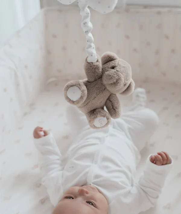 Teddy Tay երաժշտական ​​խաղալիք