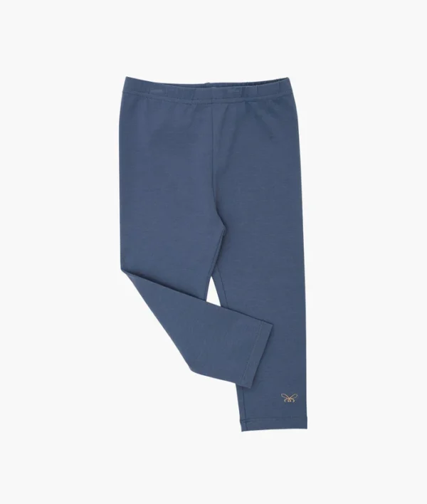 Հիմնական լեգենսներ