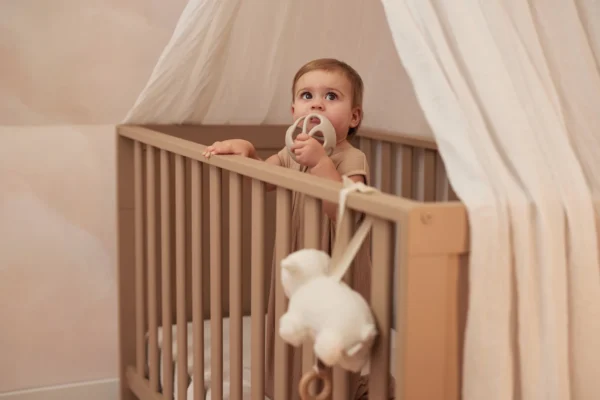 Սիլիկոնե ատամների  գնդիկ Ø 9.5 սմ Jollein