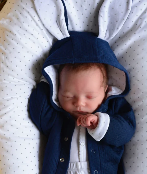 Կարդիգան կապույտ Bunny