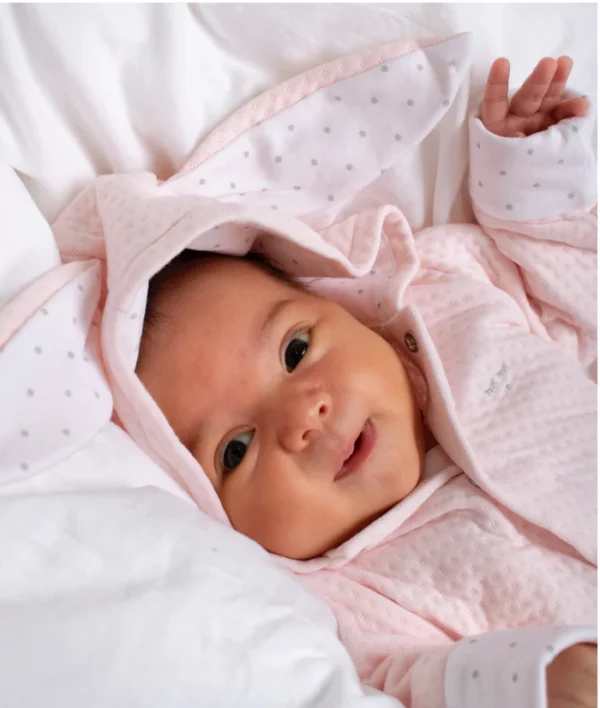 Նապաստակի կարդիգան