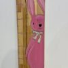 Մանկական աճաչափ Rabbit