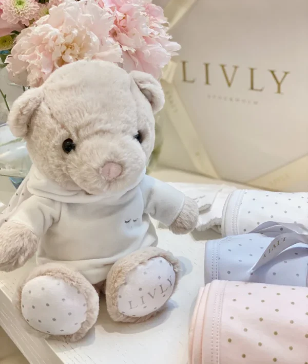 Teddy Tay փափուկ խաղալիք